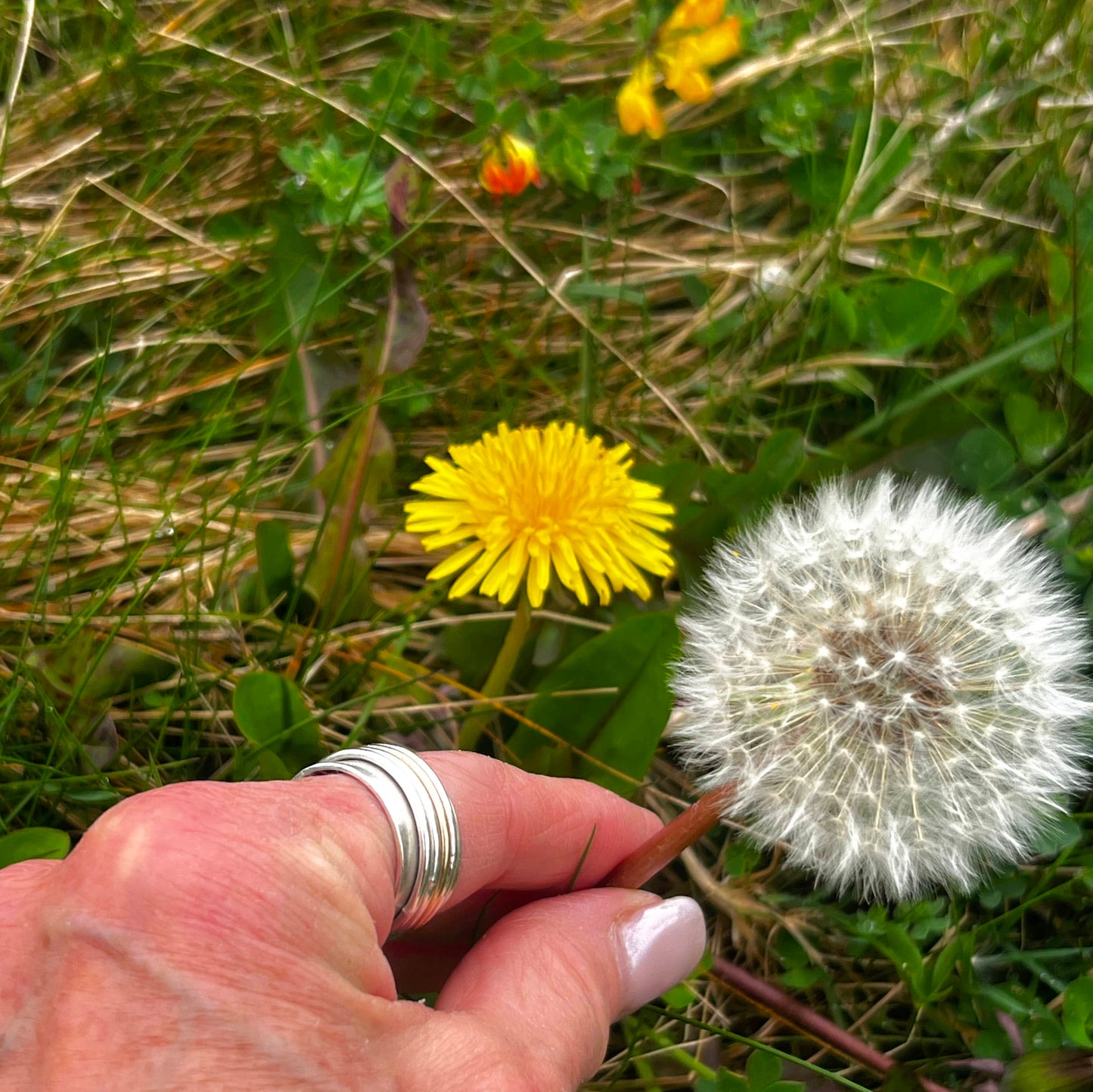Hand engraved sterling silver pendant - Dandelion Puff