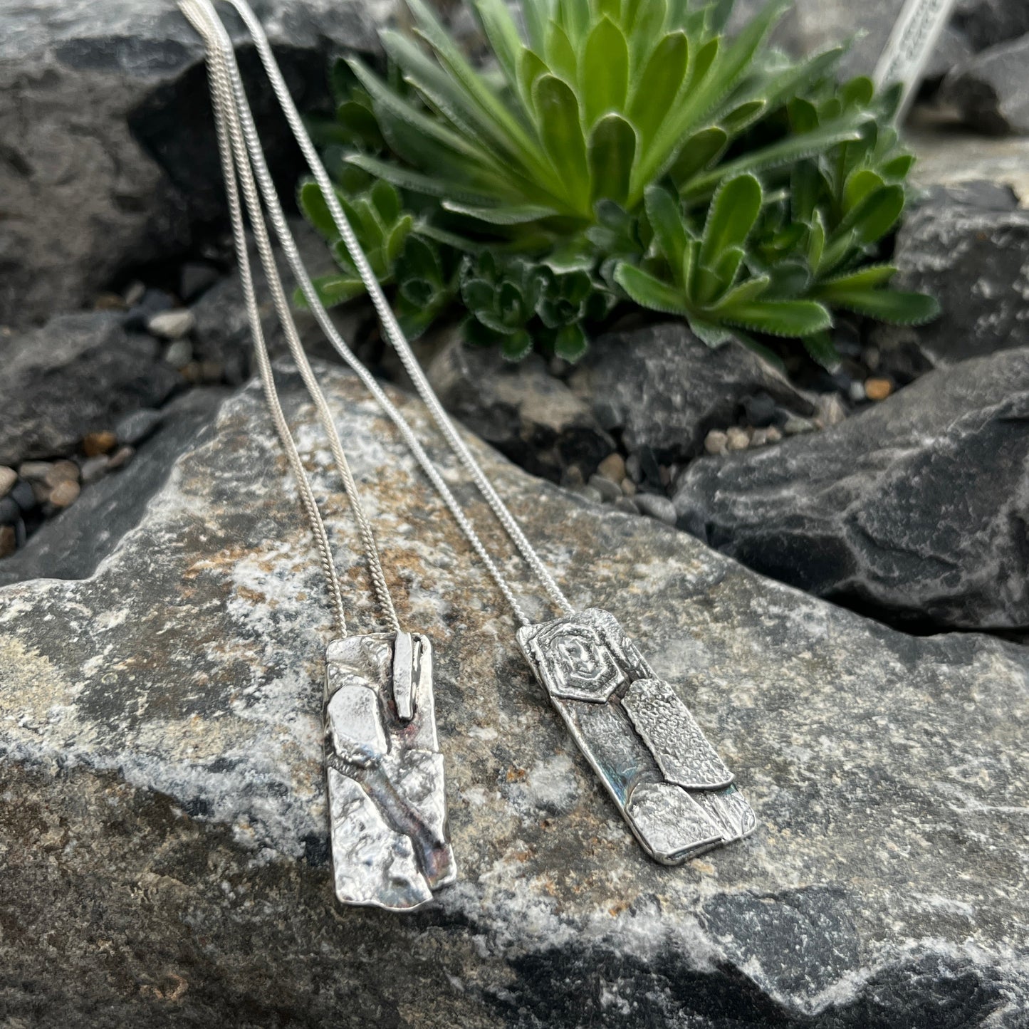 Silver brooches on a rocky surface with a small plant